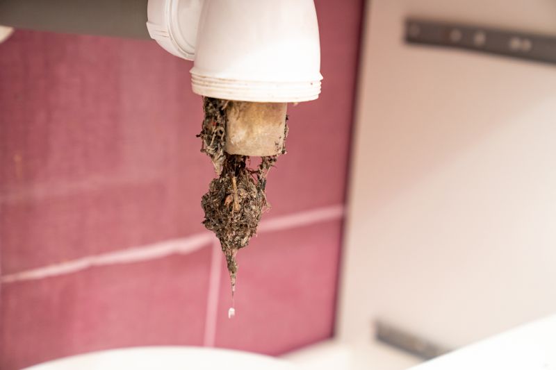 Common Causes Of Drain Clogs In Kitchens And Bathrooms